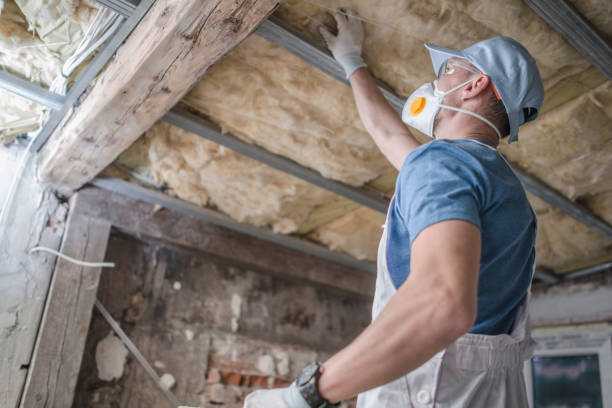Best Commercial Insulation in South Miami Heights, FL